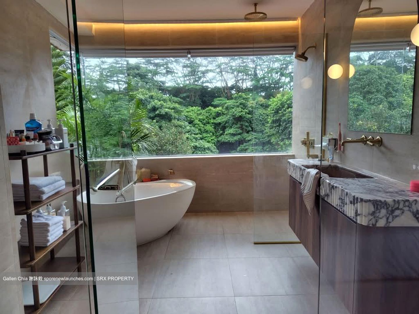 Clementi Park (D21), Condominium #592914851